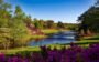 bellingrath-gardens-alabama-landscape-scenic-158063-158063.jpg